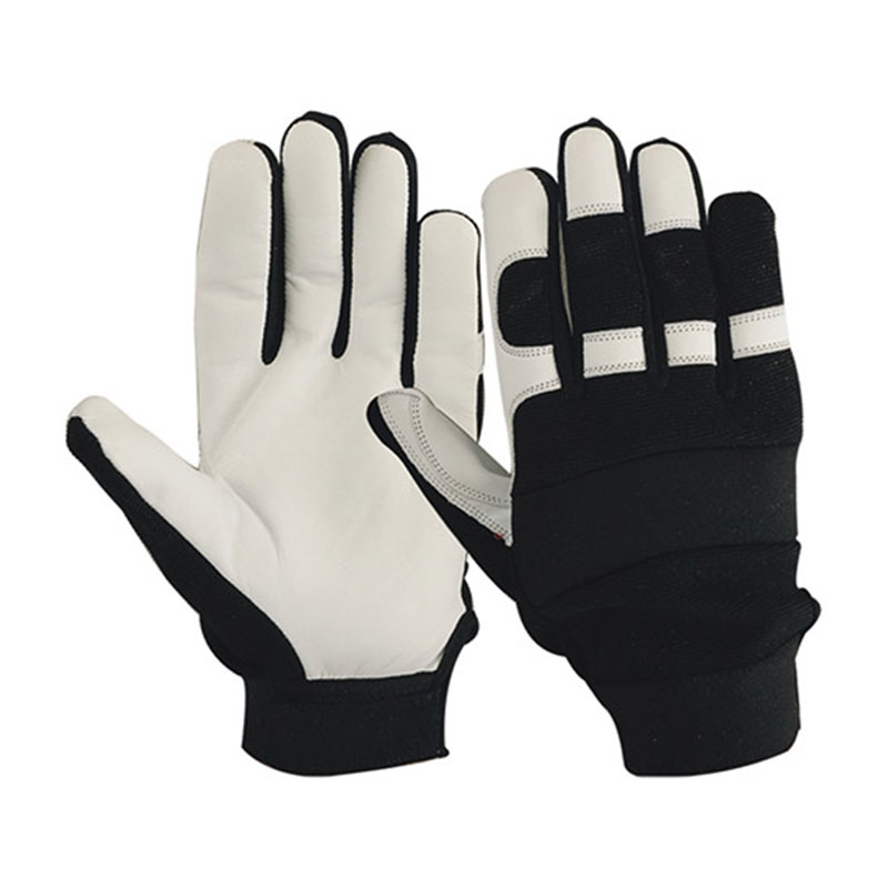 Ski Gloves